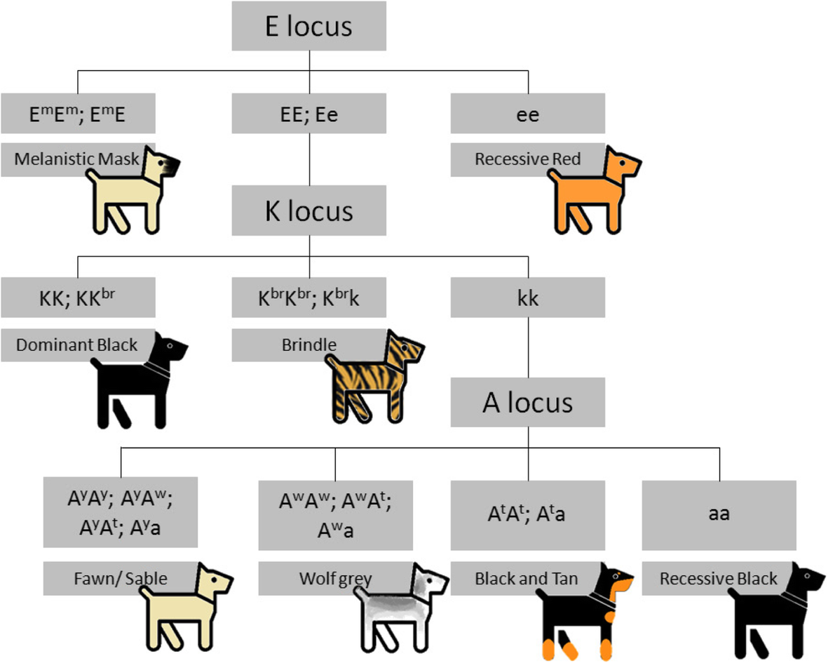 Fig. 1