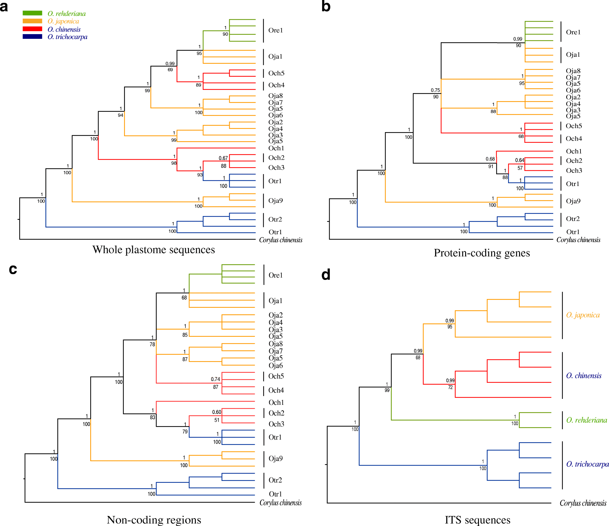 Fig. 4