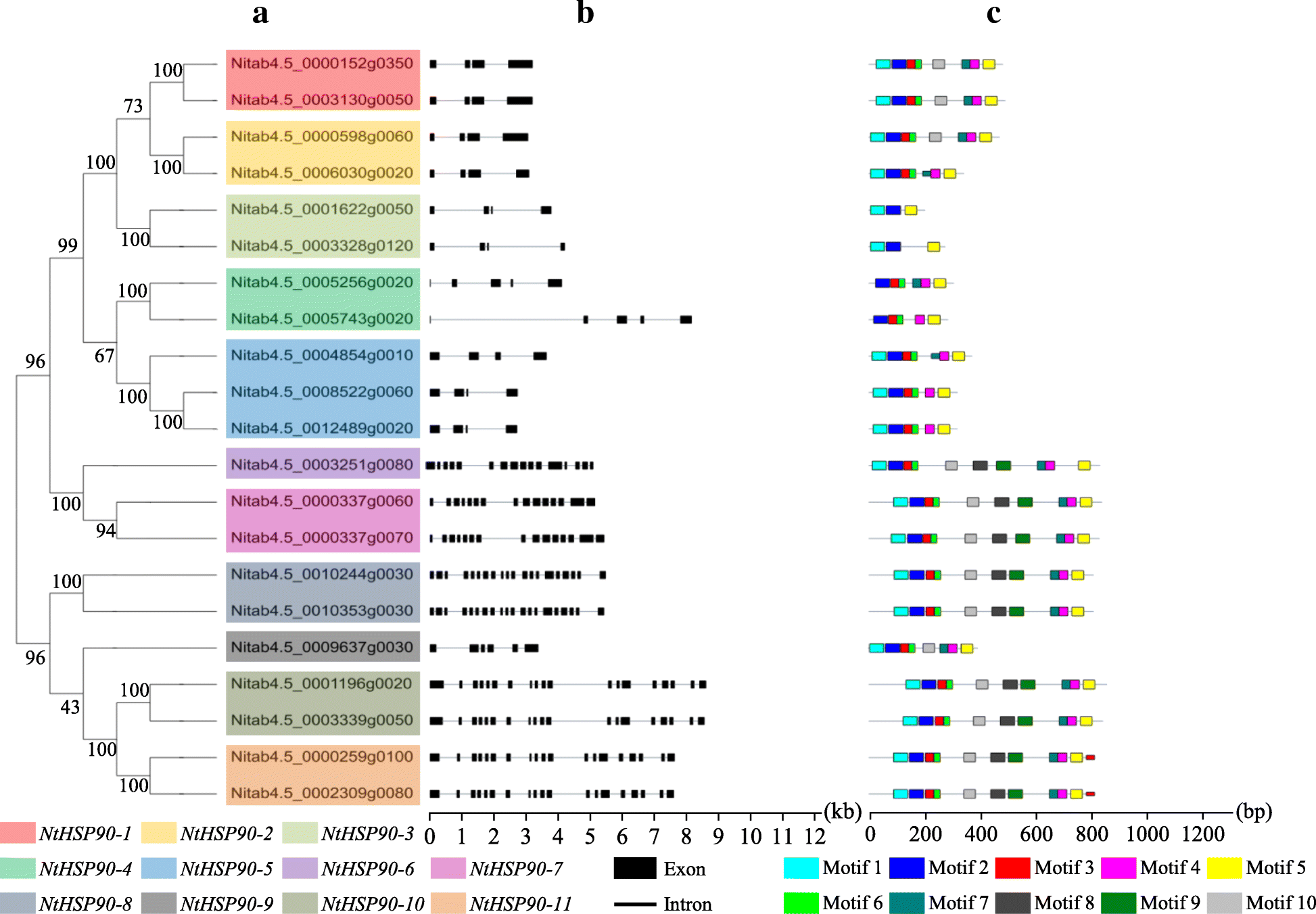 Fig. 3