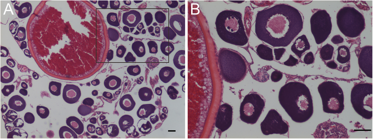 Fig. 8