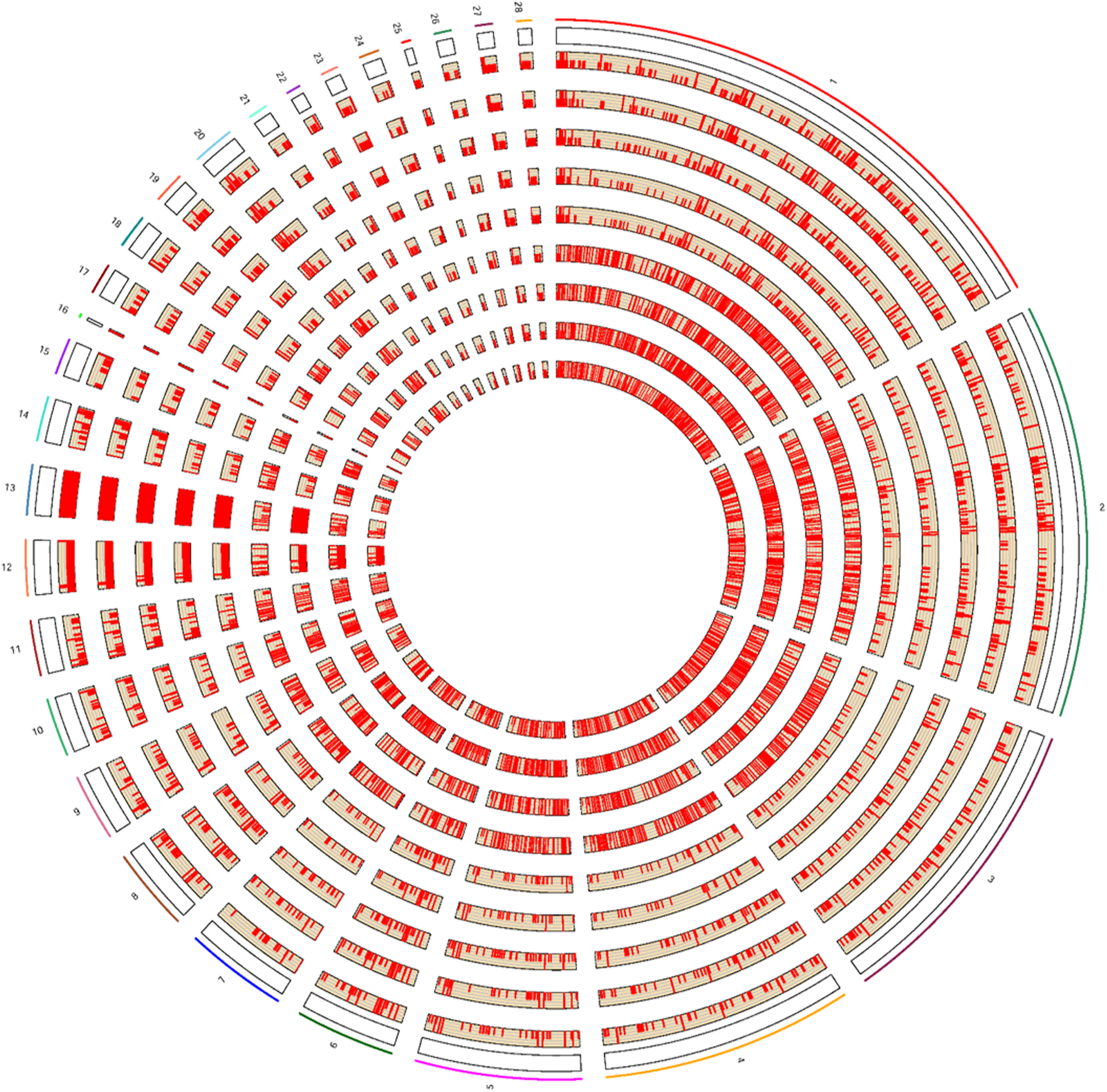 Fig. 2