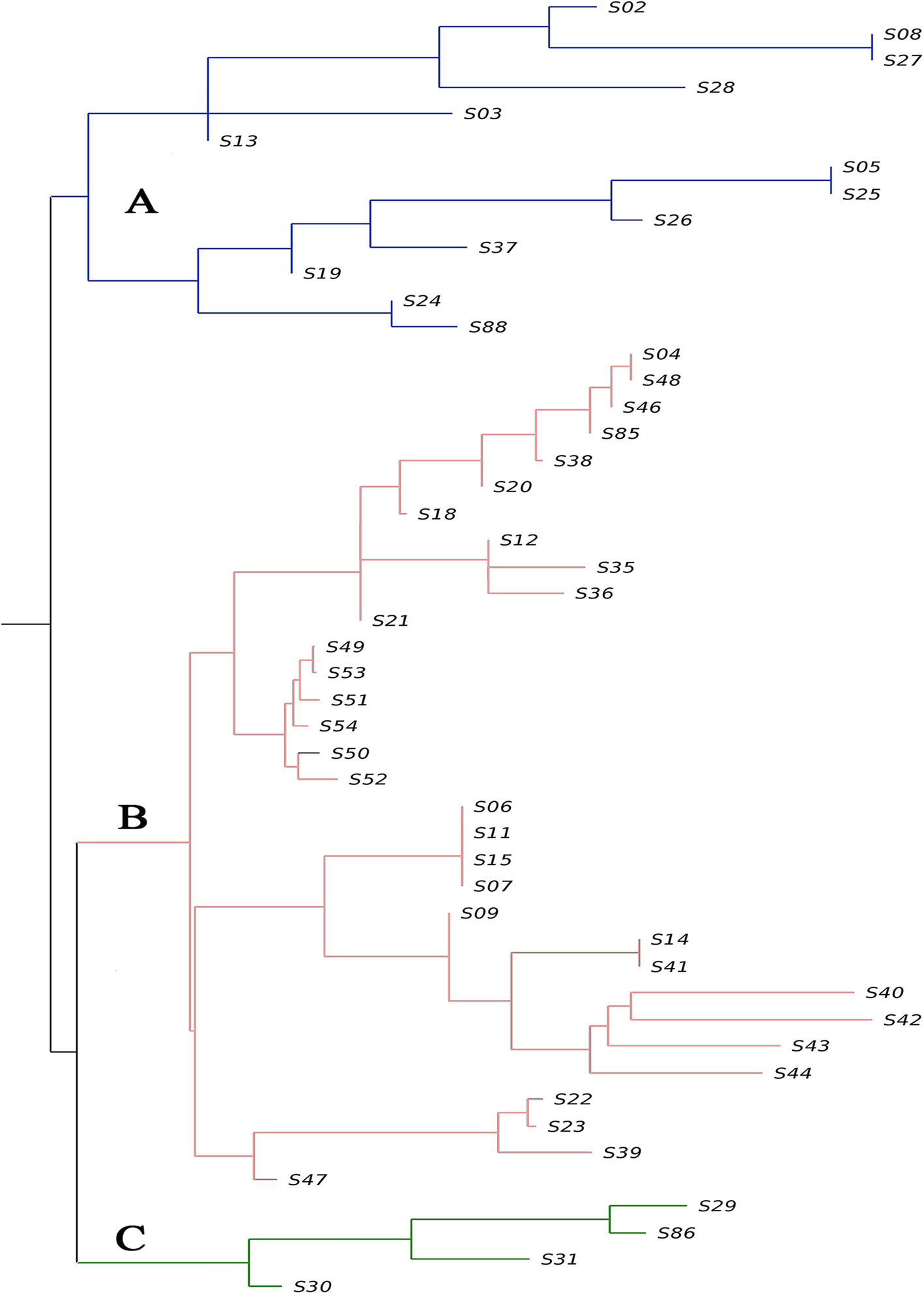 Fig. 3