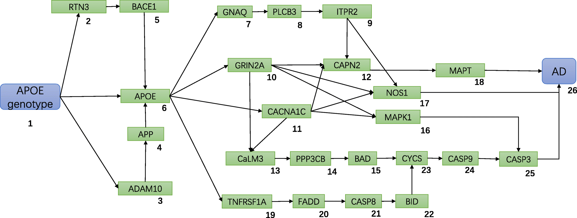 Fig. 4