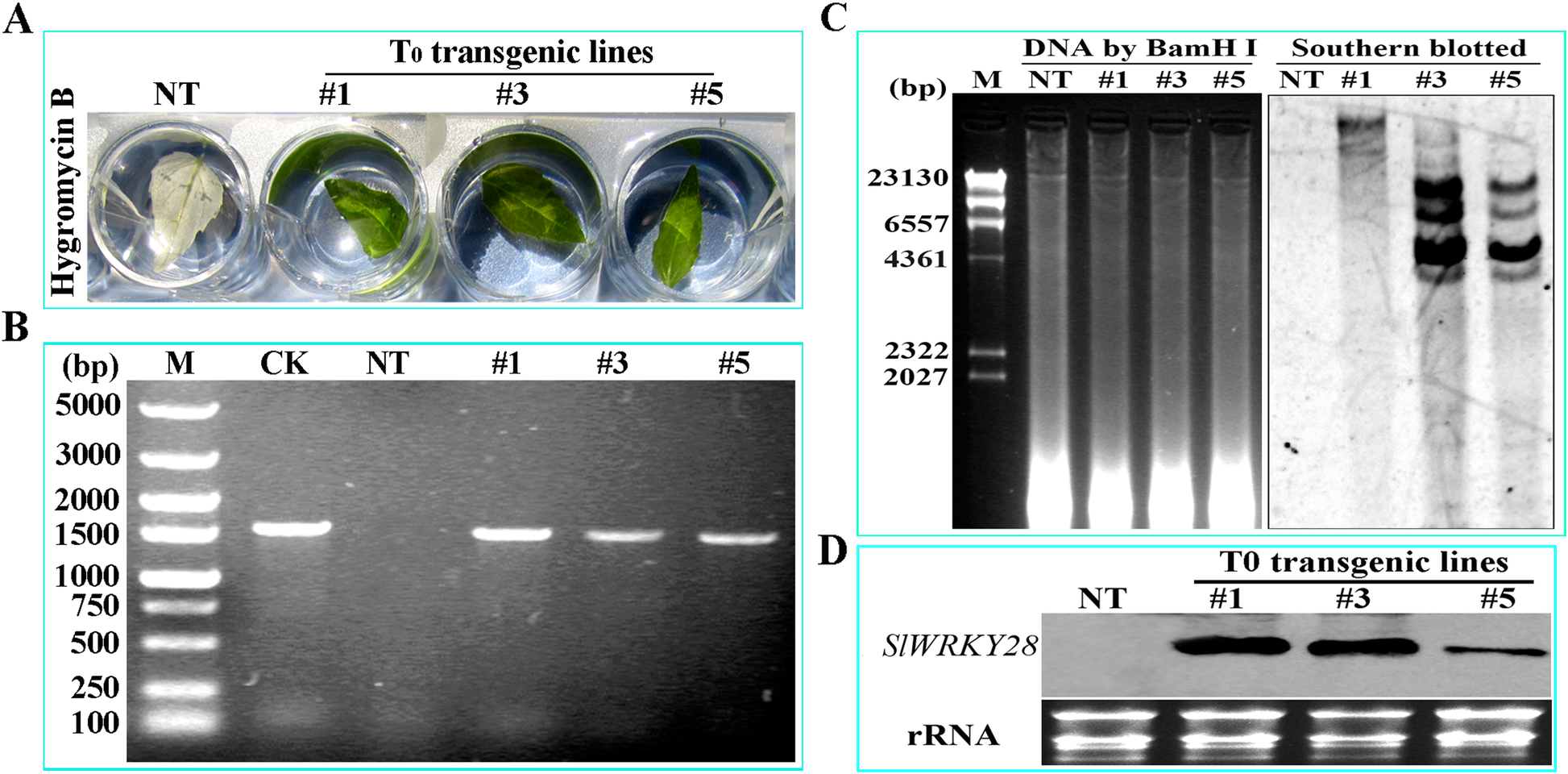 Fig. 8