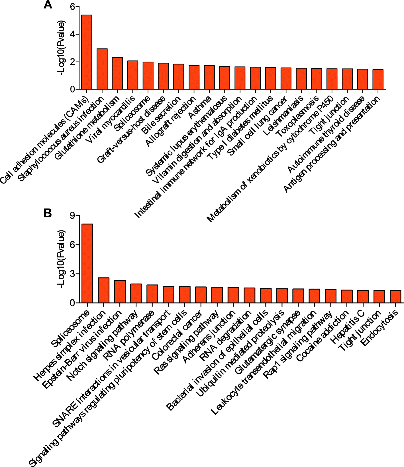 Fig. 7