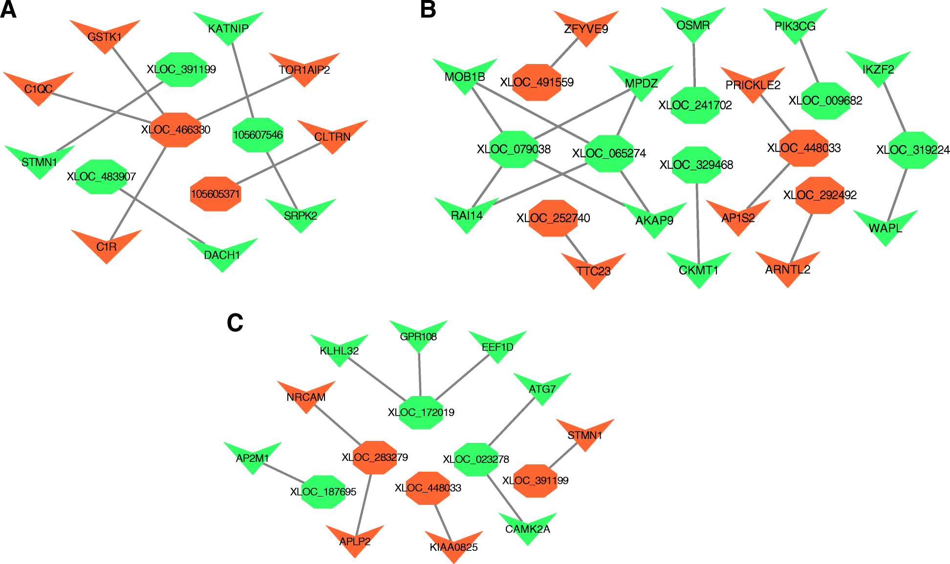 Fig. 8