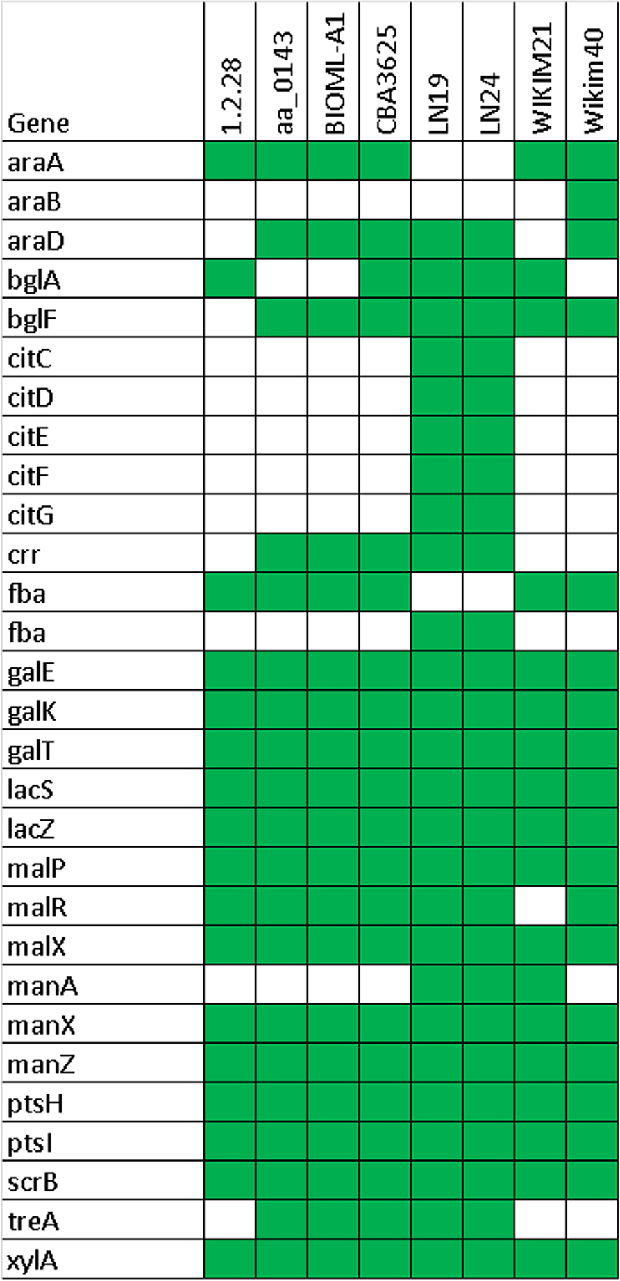 Fig. 11