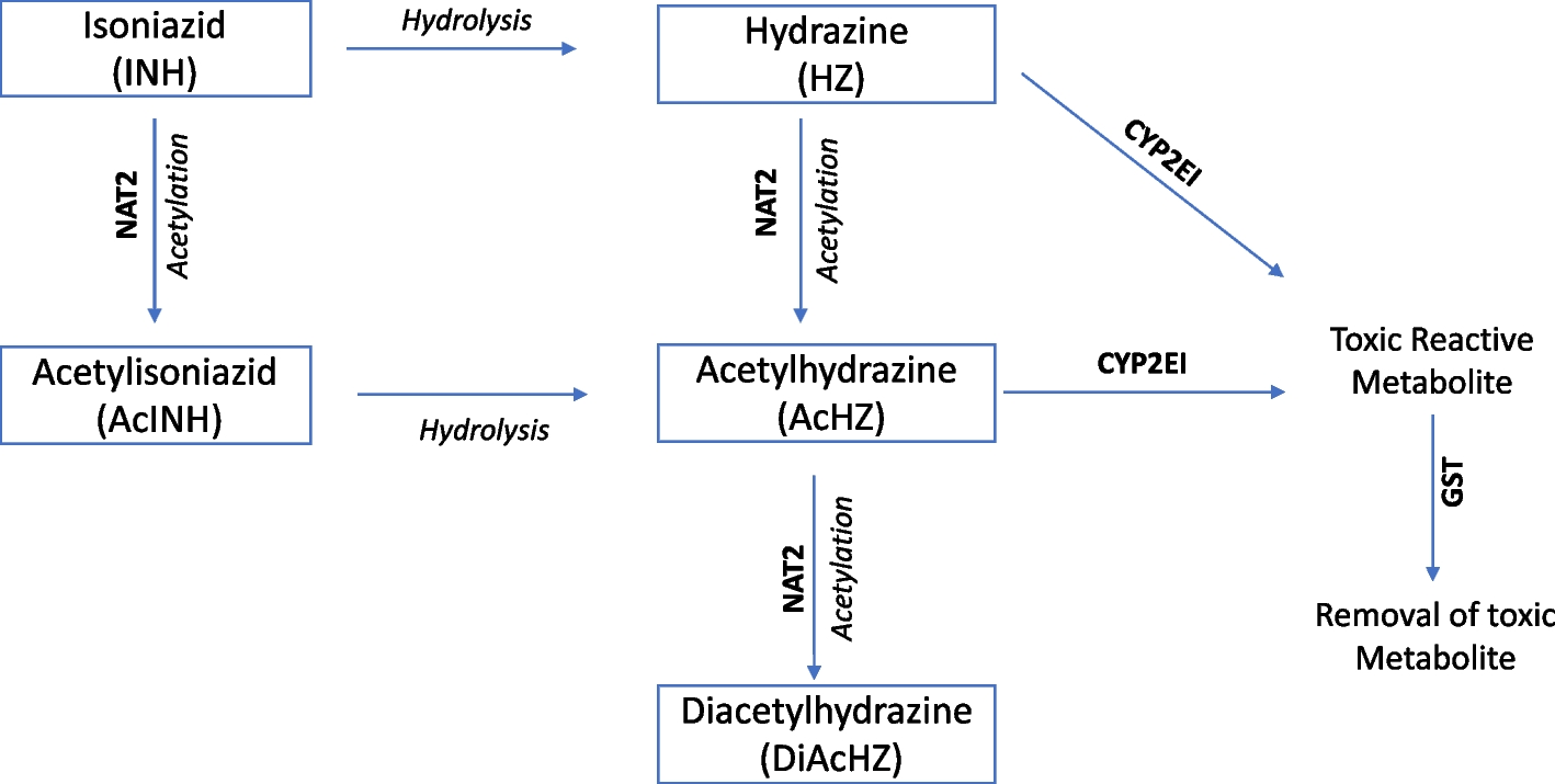 Fig. 1