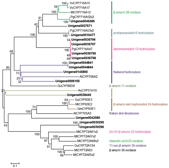 Figure 7