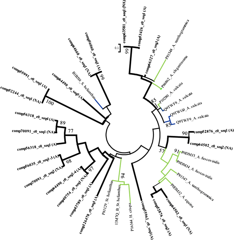 Figure 7