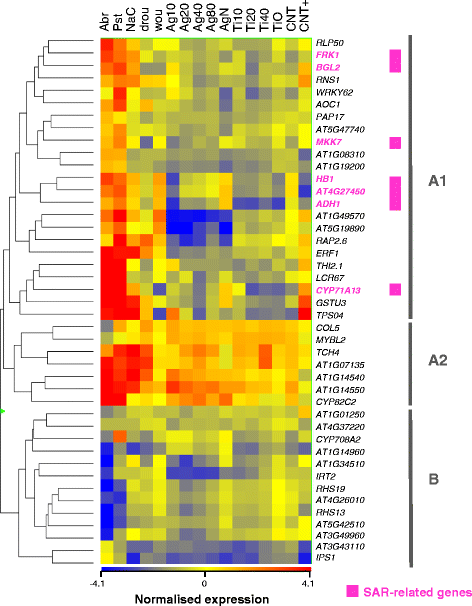 Figure 5