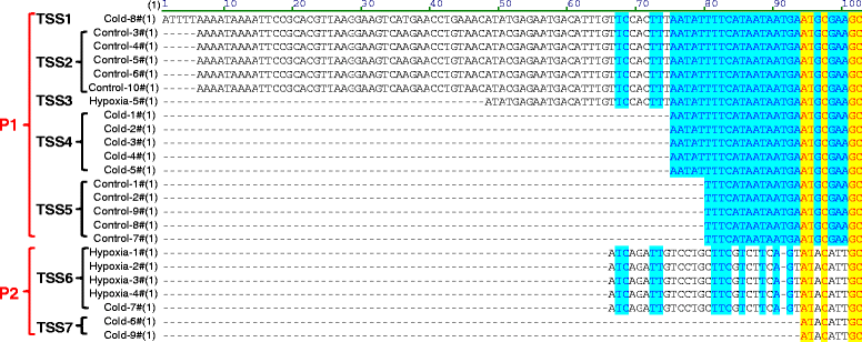 Figure 7