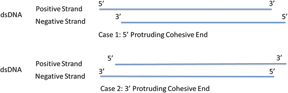 Fig. 9