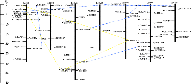 Fig. 10