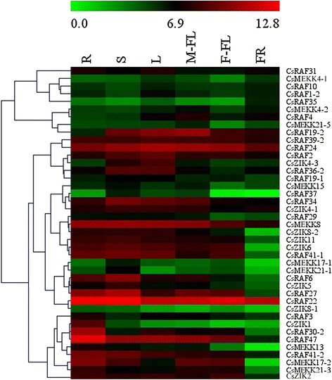 Fig. 13