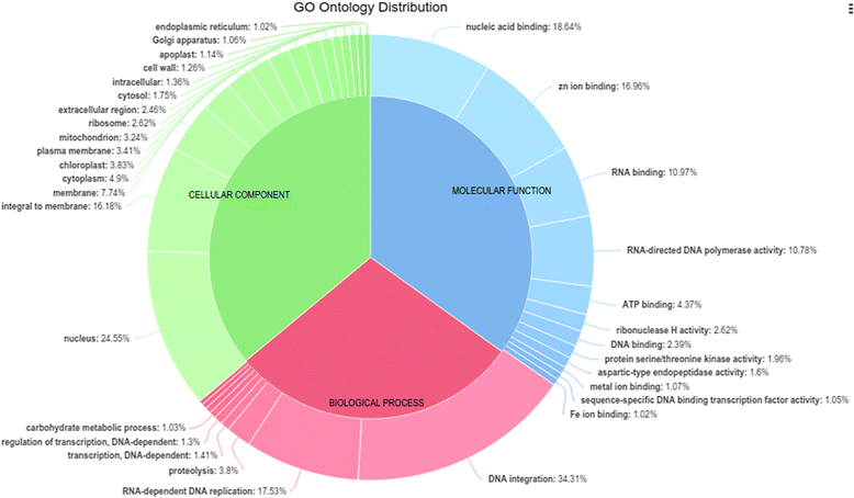 Gene Ontology Pie Chart