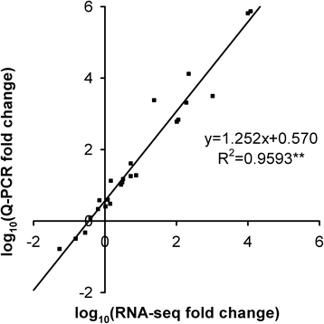 Fig. 13