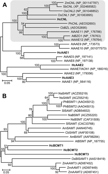 Fig. 9