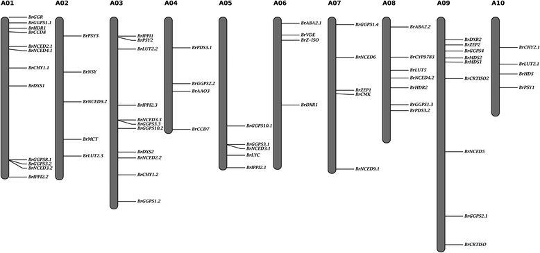 Fig. 2