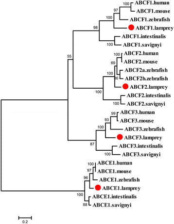 Fig. 5