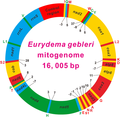 Fig. 1