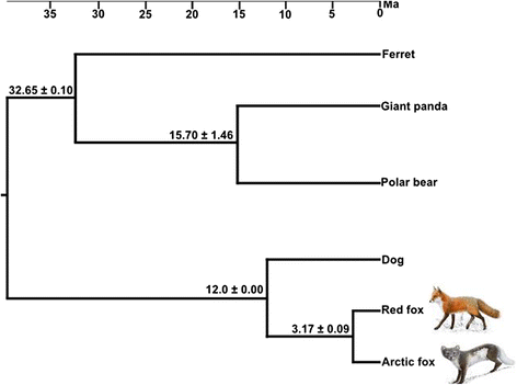 Fig. 3