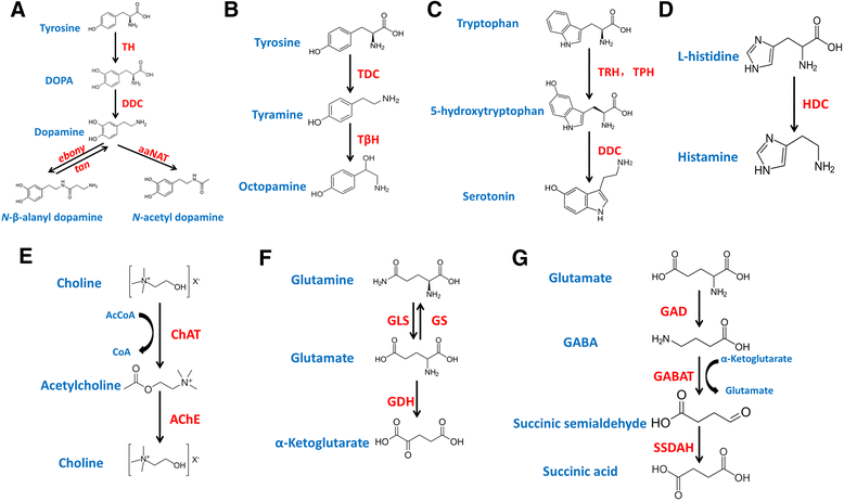 Fig. 9