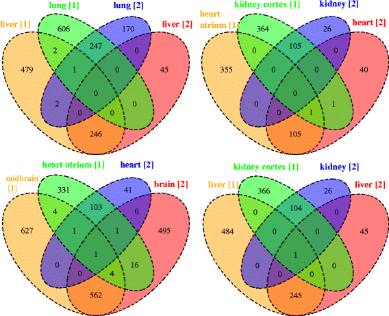 Fig. 5