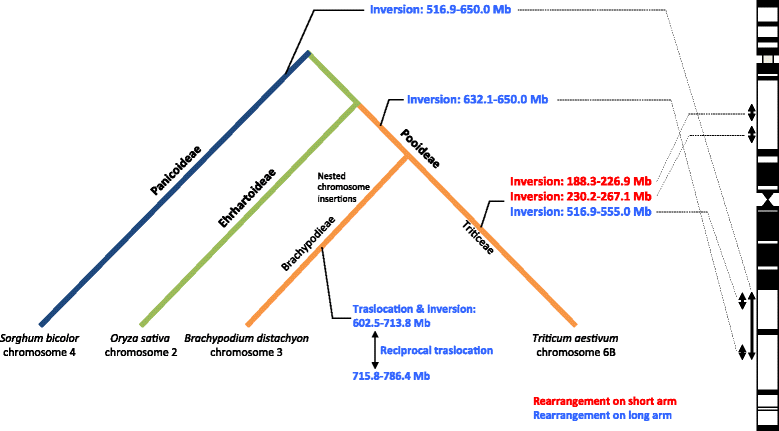 Fig. 8