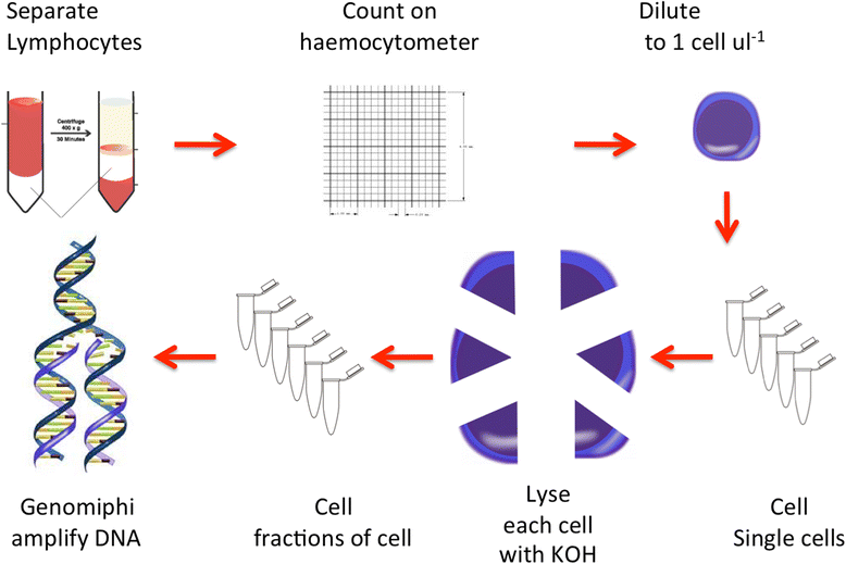 Fig. 8