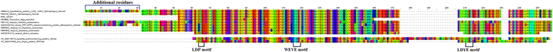 Fig. 10