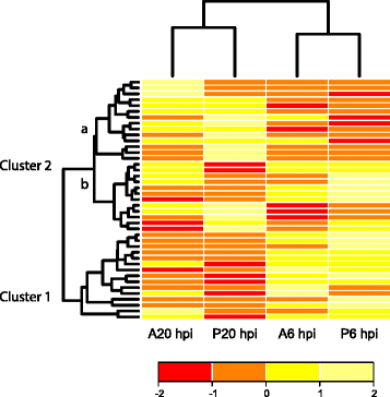 Fig. 4