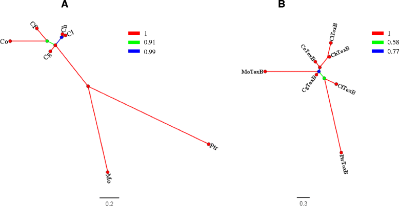 Fig. 10