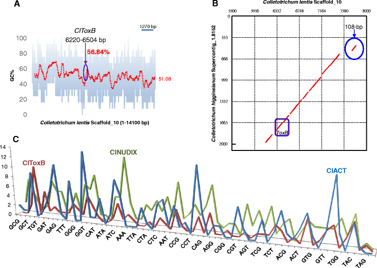 Fig. 11