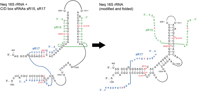 Fig. 5