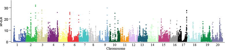 Fig. 3