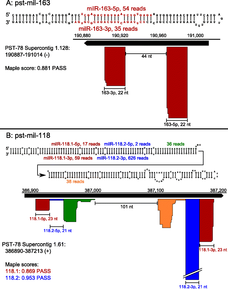 Fig. 5