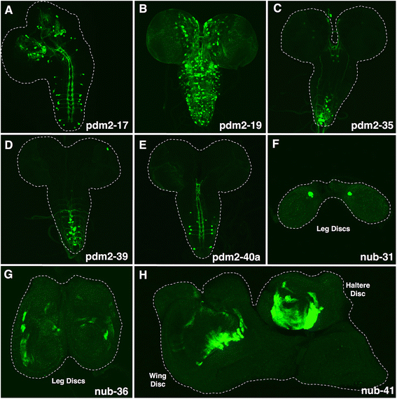 Fig. 7