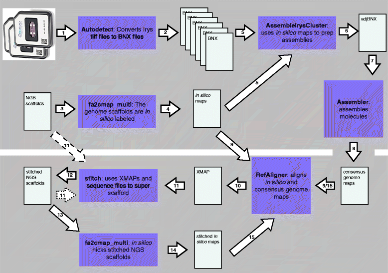 Fig. 1