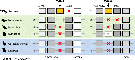 Fig. 2