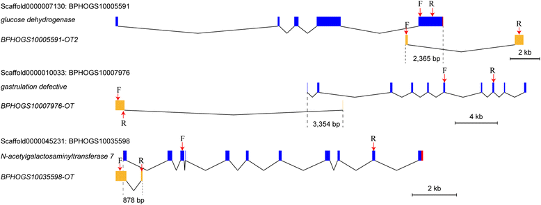 Fig. 10