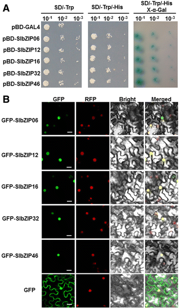 Fig. 9