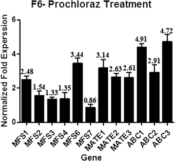 Fig. 7