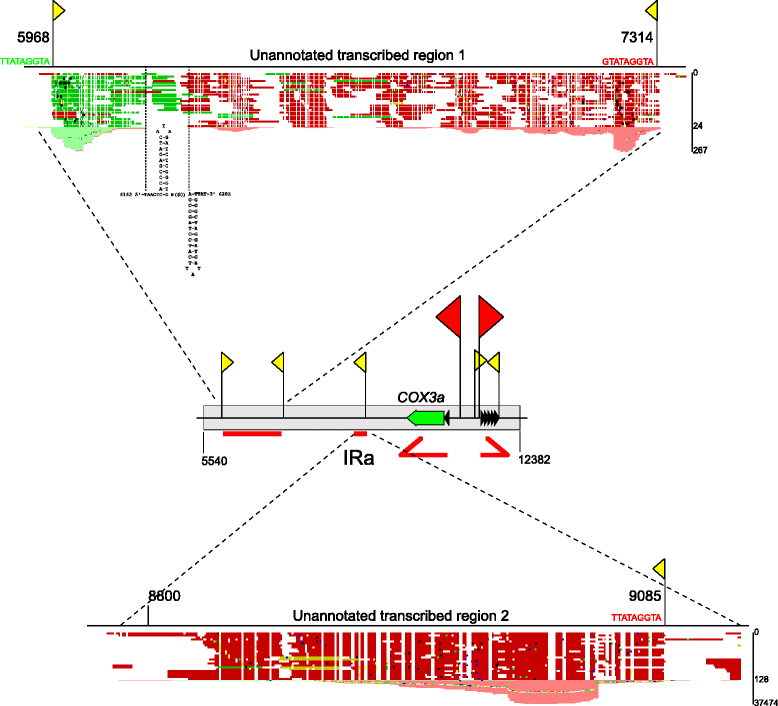 Fig. 7