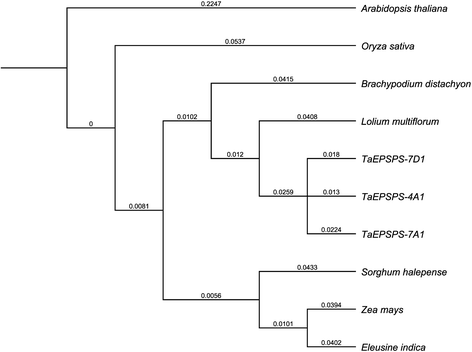 Fig. 7