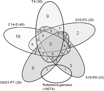 Fig. 4