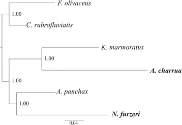 Fig. 5