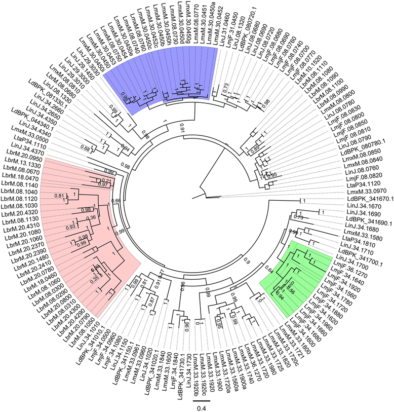 Fig. 3