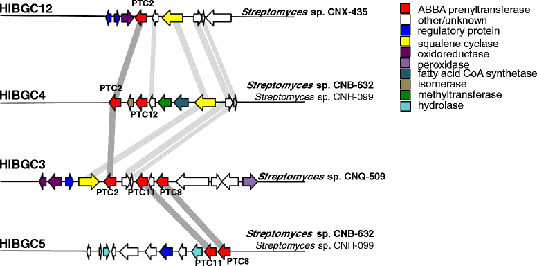 Dictyosome 2 3 2 Annotate The Diagram From 2 3 1 With The Functions Of