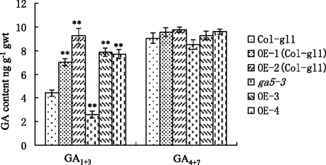 Fig. 5